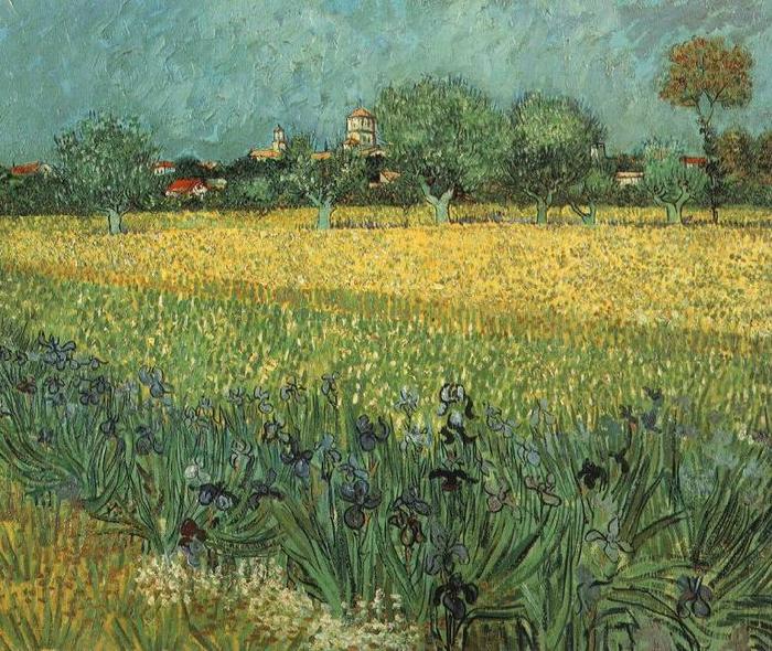 Vincent Van Gogh View of Arles with Irises in the Foreground oil painting picture